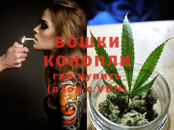 крисы Баксан