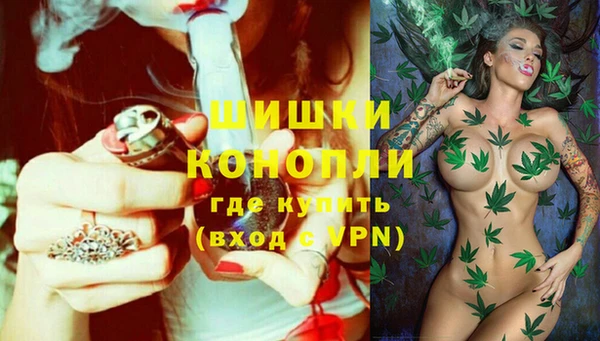 крисы Баксан