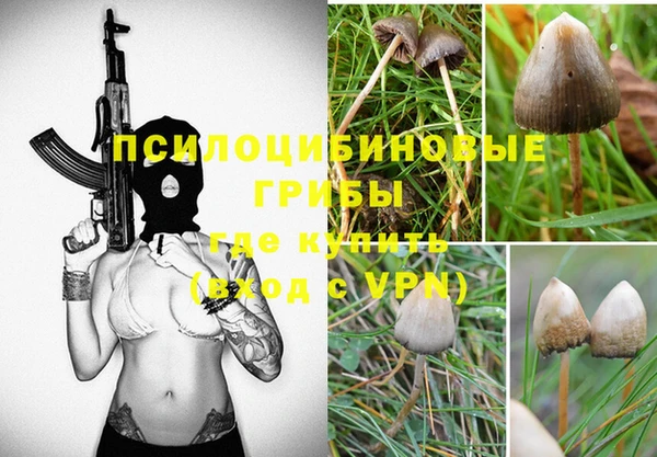 гашиш Арсеньев