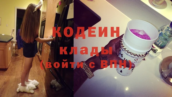крисы Баксан