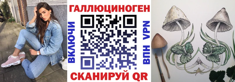 Купить закладки  Сретенск  Галлюциногенные грибы Cubensis 